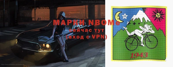 прущие грибы Карталы