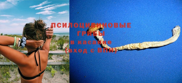 МДПВ Каменногорск