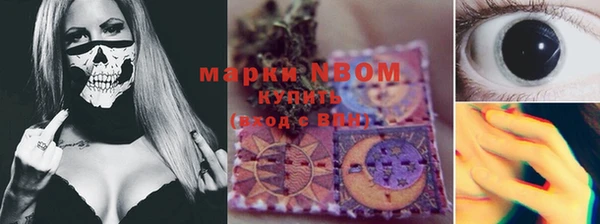 гашик Козельск