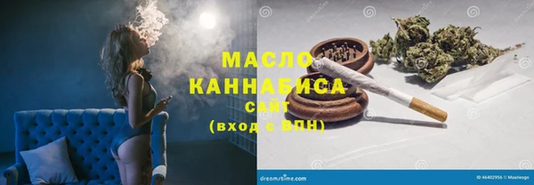 МДПВ Каменногорск