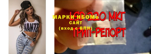 МДПВ Каменногорск