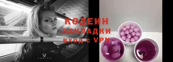 МДПВ Каменногорск