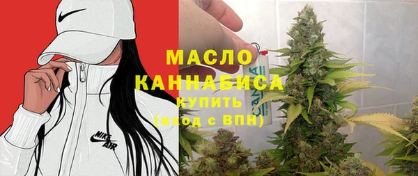 гашик Козельск