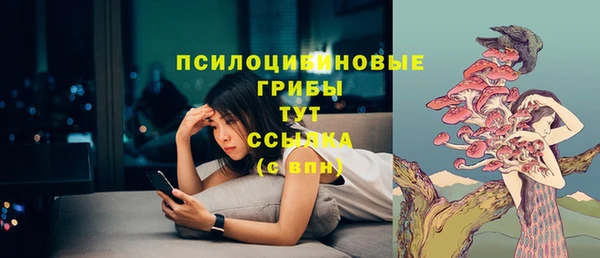 сатива Кущёвская