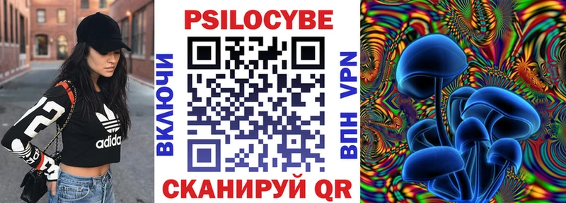 Купить закладки  Коркино  Псилоцибиновые грибы MAGIC MUSHROOMS 